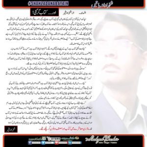 Shahzad Bashir afsana