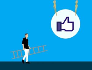 facebook reach article